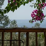 Stone House With Pool Among Olive Trees In Kabak Villa *