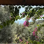 Villa Stone House With Pool Among Olive Trees In Kabak Fethiye