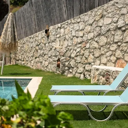 Vila Stone House With Pool Among Olive Trees In Kabak