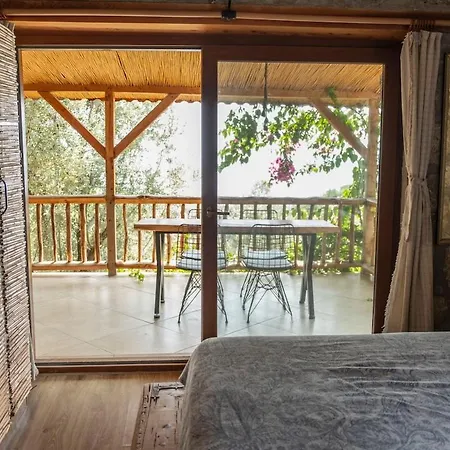Stone House With Pool Among Olive Trees In Kabak Vila *