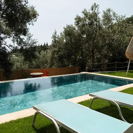 Vila Stone House With Pool Among Olive Trees In Kabak Fethiye
