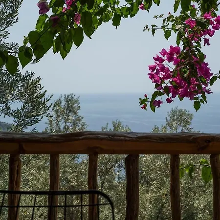 Stone House With Pool Among Olive Trees In Kabak Vila *