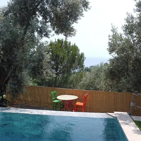 Stone House With Pool Among Olive Trees In Kabak Vila