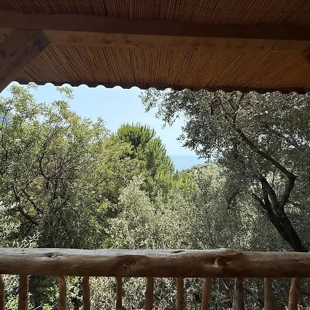 Stone House With Pool Among Olive Trees In Kabak Vila Fethiye