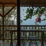 Stone House With Pool Among Olive Trees In Kabak *