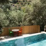 Stone House With Pool Among Olive Trees In Kabak Fethiye