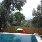 Stone House With Pool Among Olive Trees In Kabak Vila