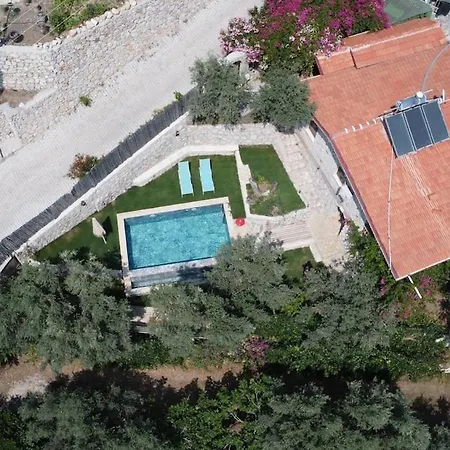 Stone House With Pool Among Olive Trees In Kabak *
