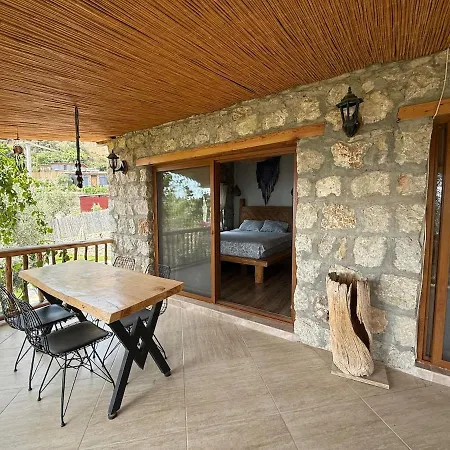 Stone House With Pool Among Olive Trees In Kabak Vila *