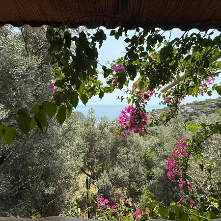 Stone House With Pool Among Olive Trees In Kabak