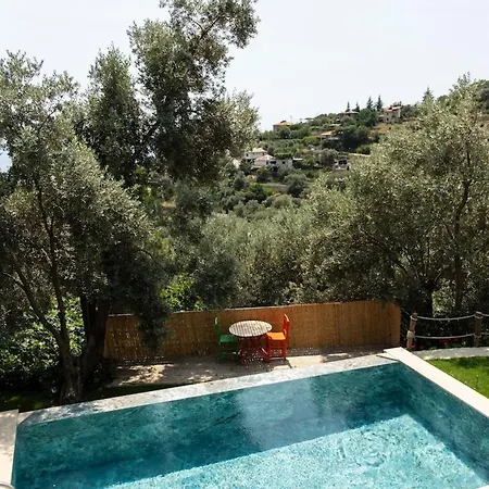 Stone House With Pool Among Olive Trees In Kabak Vilă