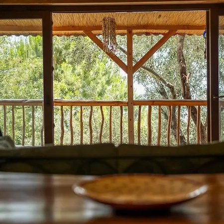 Villa Stone House With Pool Among Olive Trees In Kabak