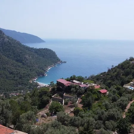 Stone House With Pool Among Olive Trees In Kabak * Фетхие