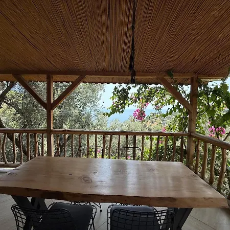 Stone House With Pool Among Olive Trees In Kabak Вилла