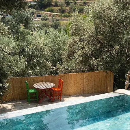 Stone House With Pool Among Olive Trees In Kabak 페티예