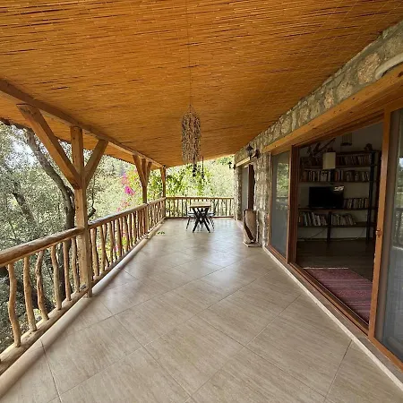 Villa Stone House With Pool Among Olive Trees In Kabak