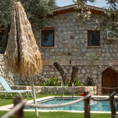 Stone House With Pool Among Olive Trees In Kabak Villa Fethiye