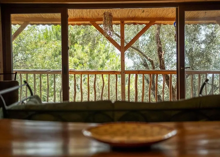 Villa Stone House With Pool Among Olive Trees In Kabak