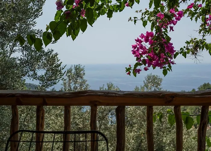 Stone House With Pool Among Olive Trees In Kabak Villa *