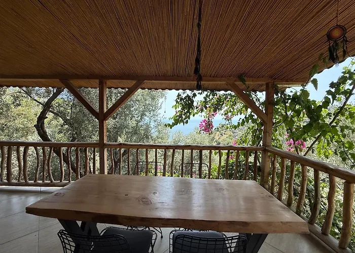 Stone House With Pool Among Olive Trees In Kabak Villa
