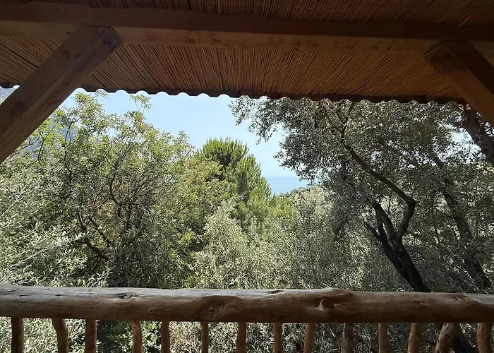 Stone House With Pool Among Olive Trees In Kabak Villa Fethiye