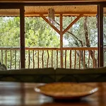 Villa Stone House With Pool Among Olive Trees In Kabak